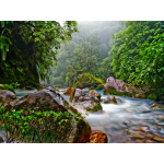 Коста Рика 2023: Ближе к природе 